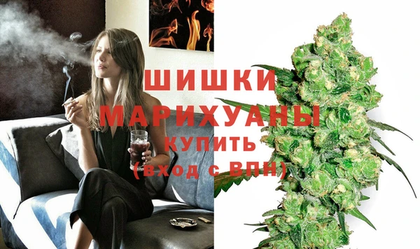 гидра Верея